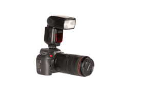 Wildlife photography setup. Canon cameras, lenses, flashes and difuser