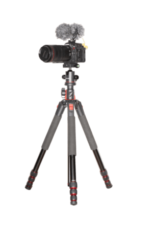 Macro wildlife video setup